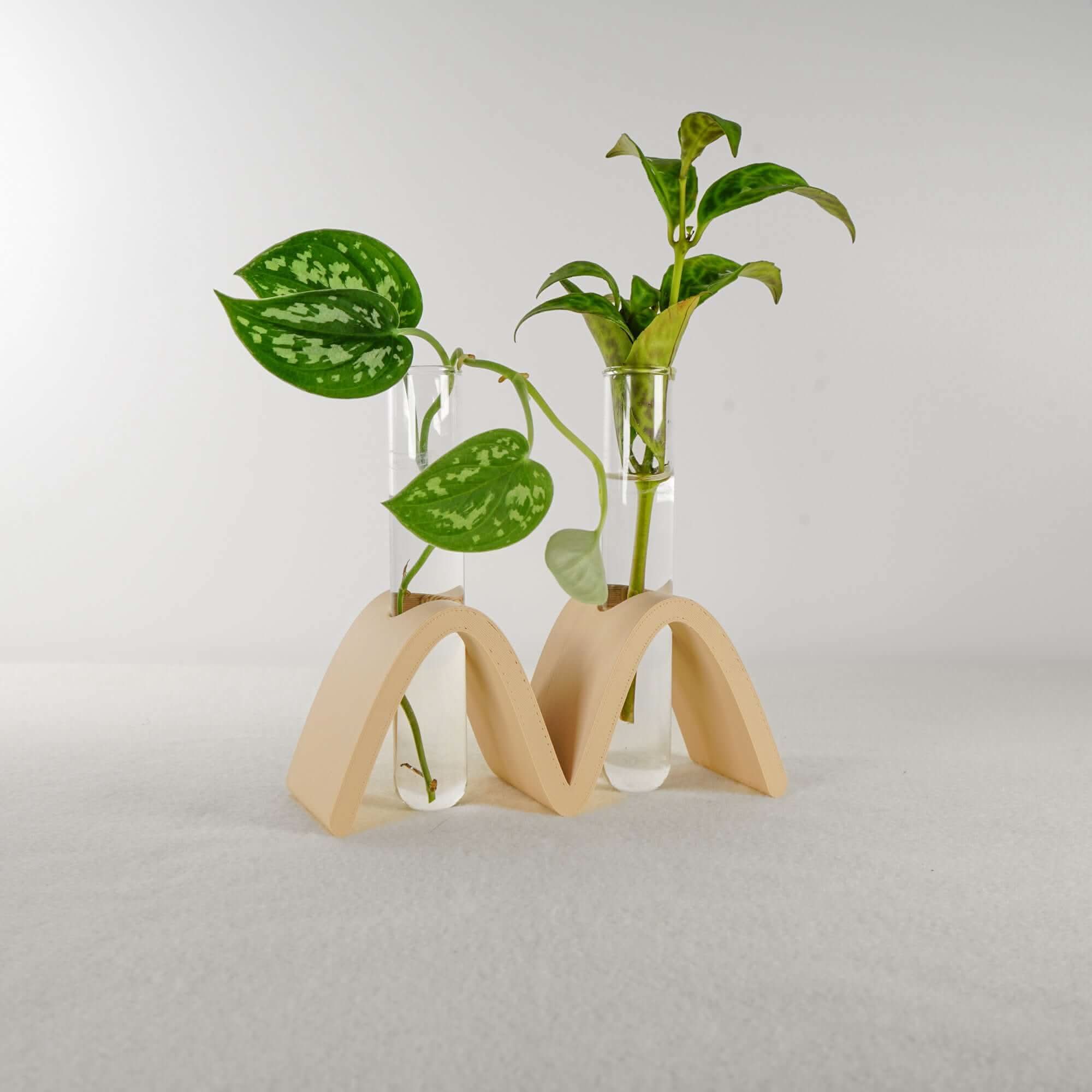 Rosebud HomeGoods Propagation Arch Wave Propagation Station