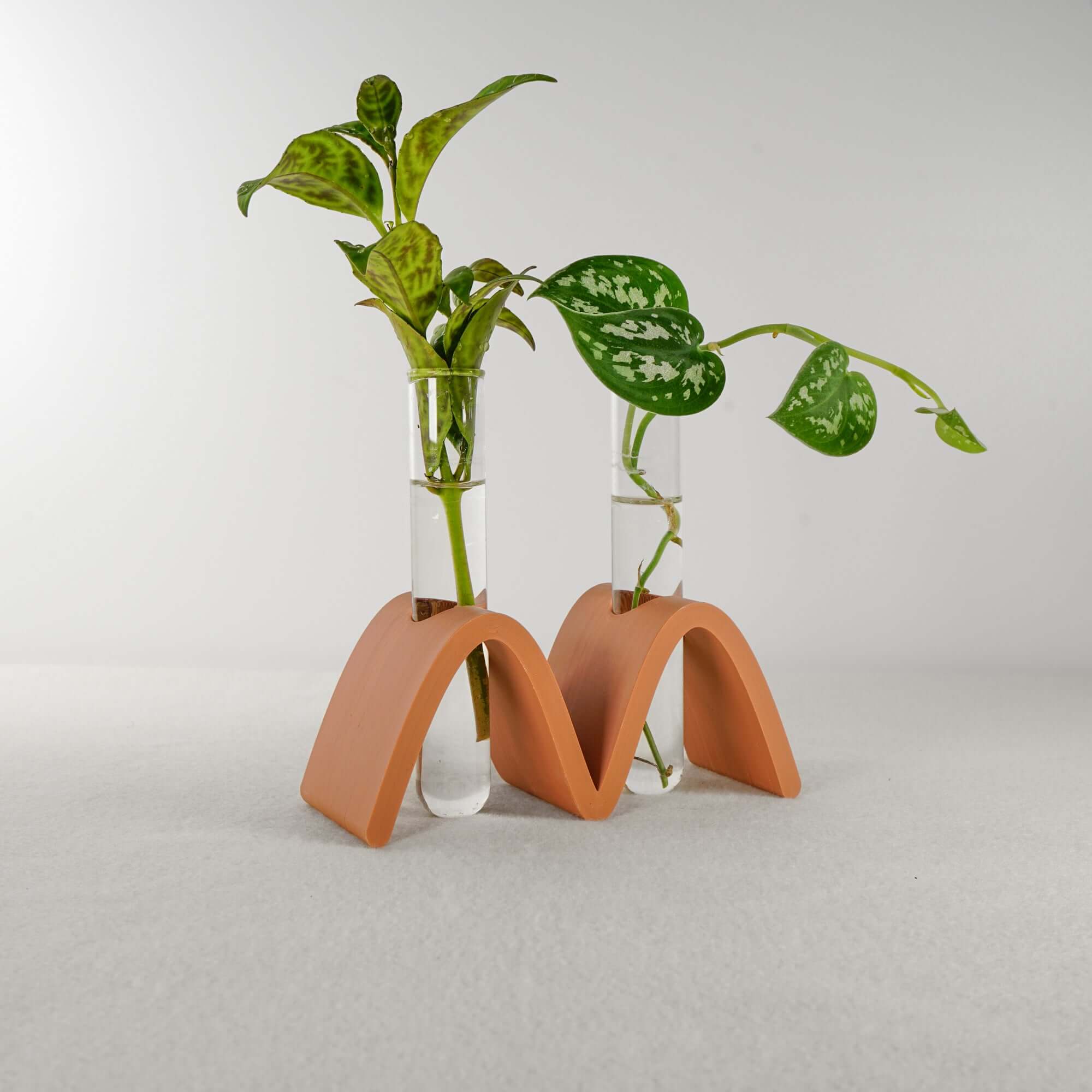 Rosebud HomeGoods Propagation Arch Wave Propagation Station