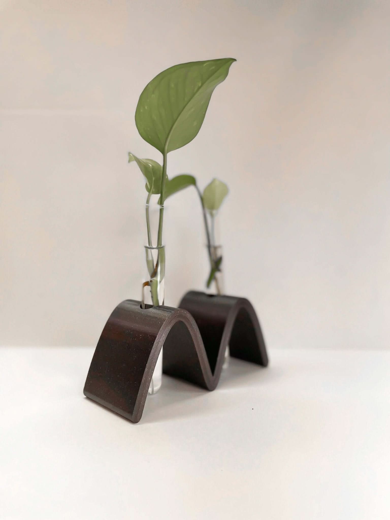 Rosebud HomeGoods Propagation Arch Wave Propagation Station