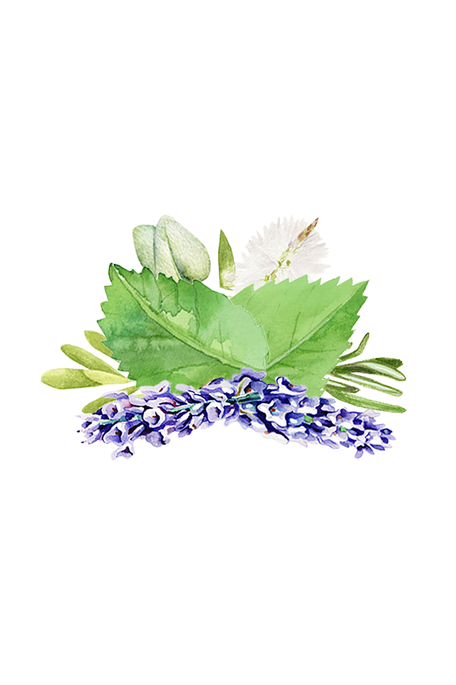 Room Spray | Aromatherapy Blend