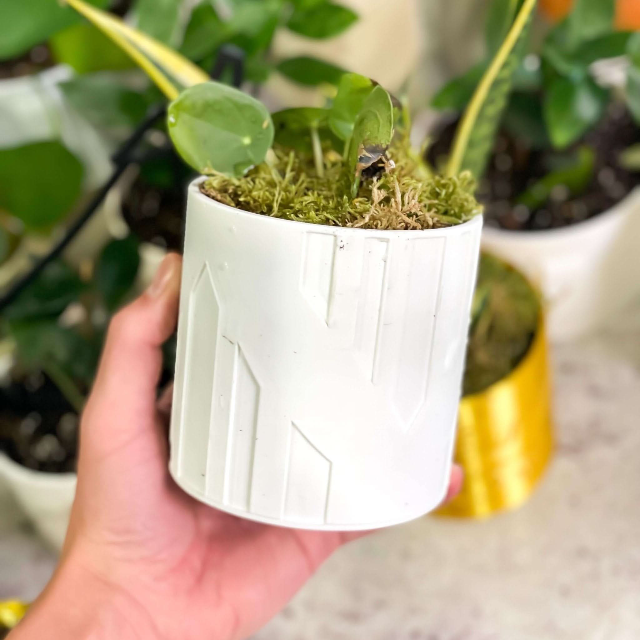 Rosebud HomeGoods Planter Art Deco Tower Planter