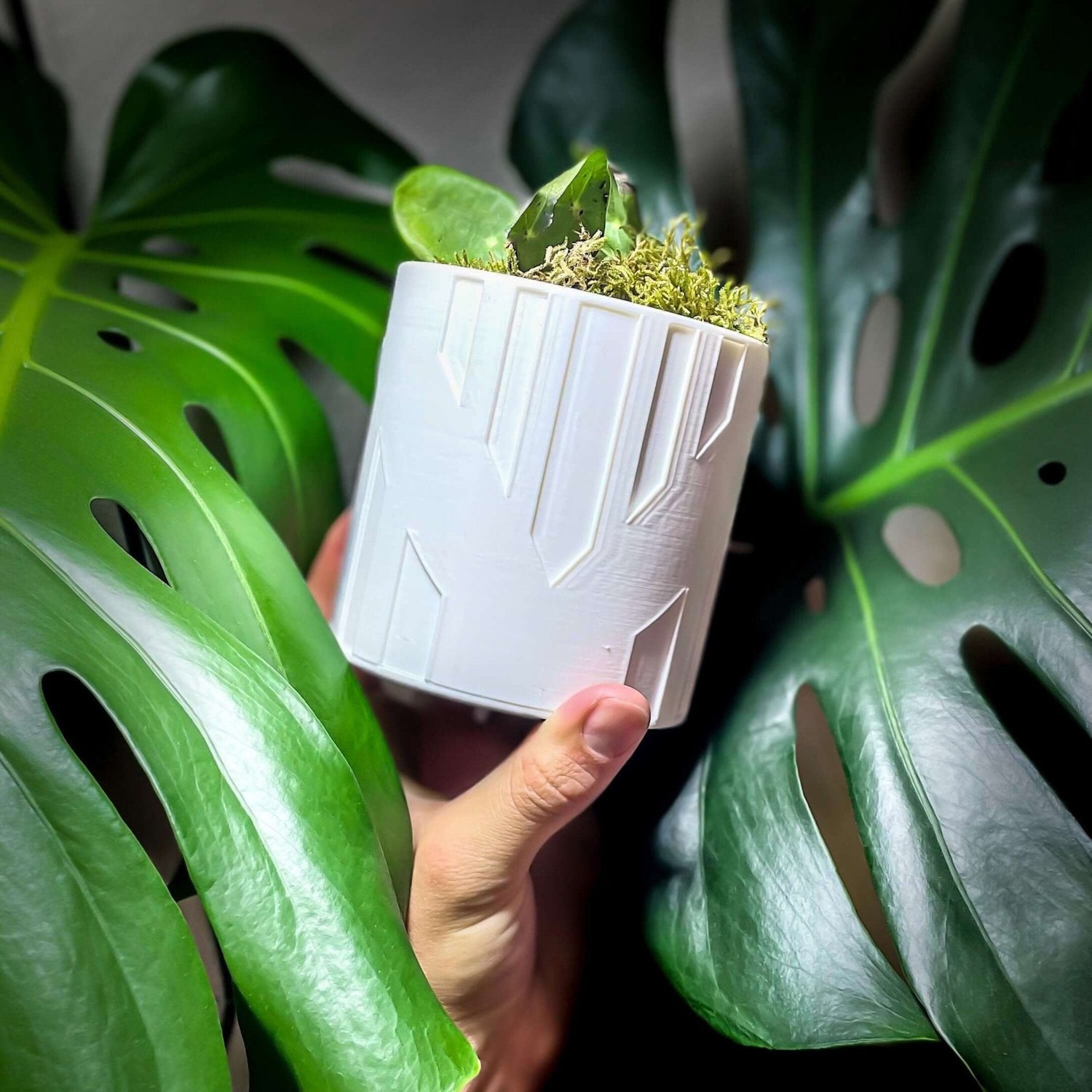 Art Deco Tower Planter - Rosebud HomeGoods Black 4 Inch Without Drip Tray MODERN HOME GOOD