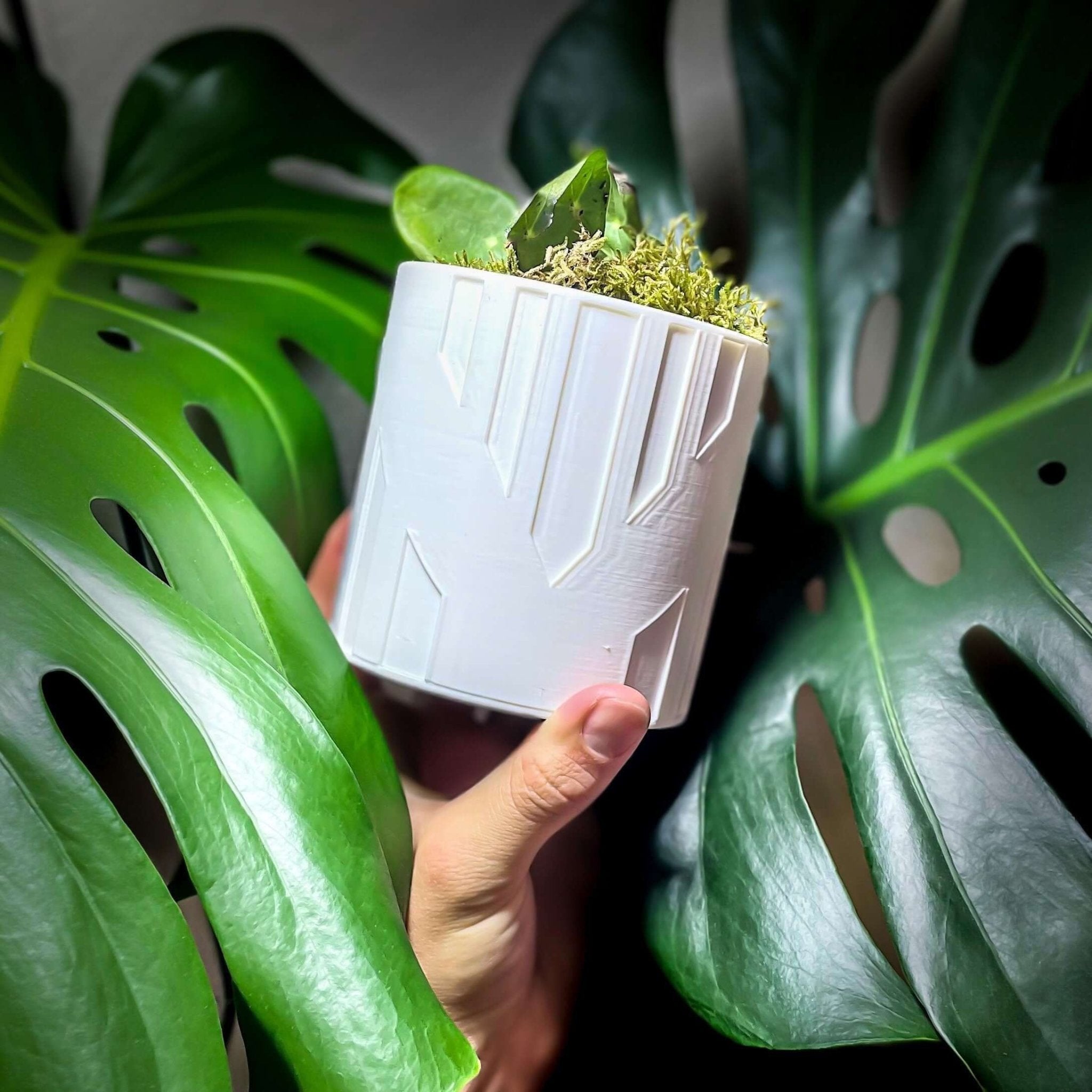 Art Deco Tower Planter - Rosebud HomeGoods Black 4 Inch Without Drip Tray MODERN HOME GOOD