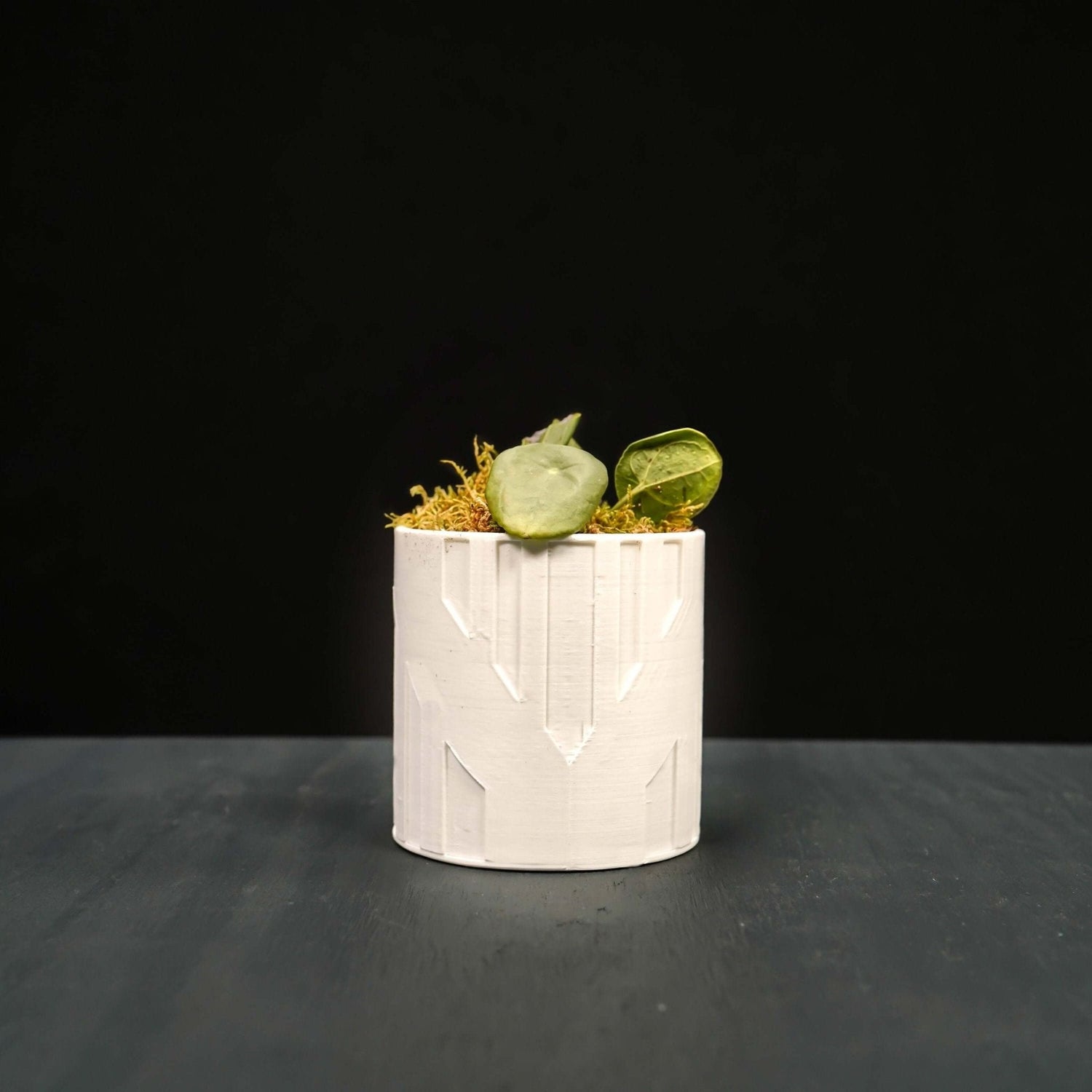 Art Deco Tower Planter - Rosebud HomeGoods Black 4 Inch Without Drip Tray MODERN HOME GOOD