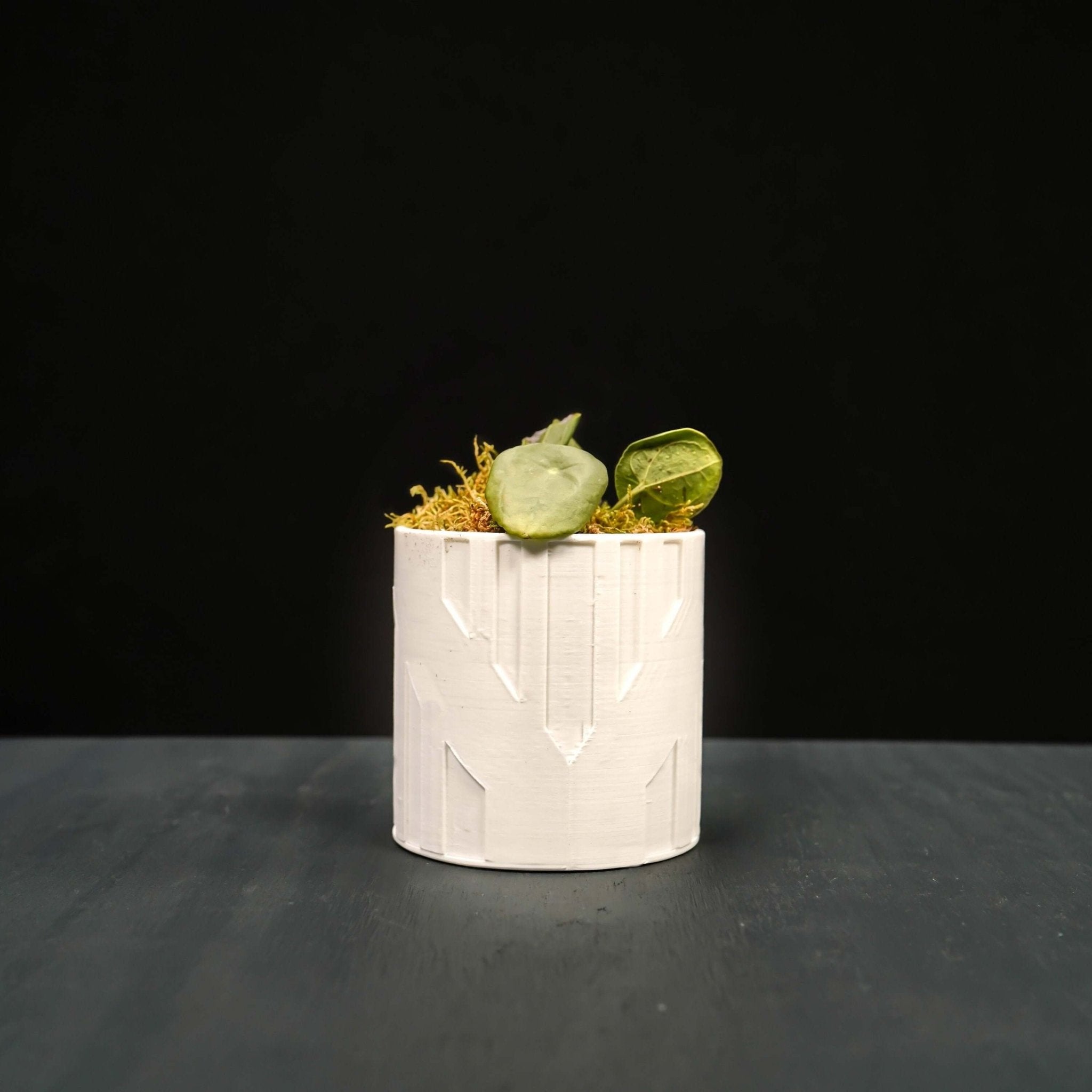 Art Deco Tower Planter - Rosebud HomeGoods Black 4 Inch Without Drip Tray MODERN HOME GOOD