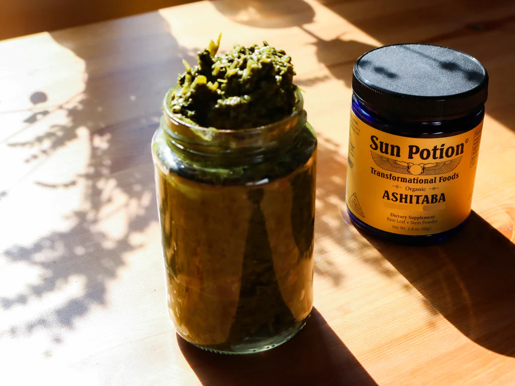Ashitaba Leaf &amp; Stem Powder (Wild Harvested)