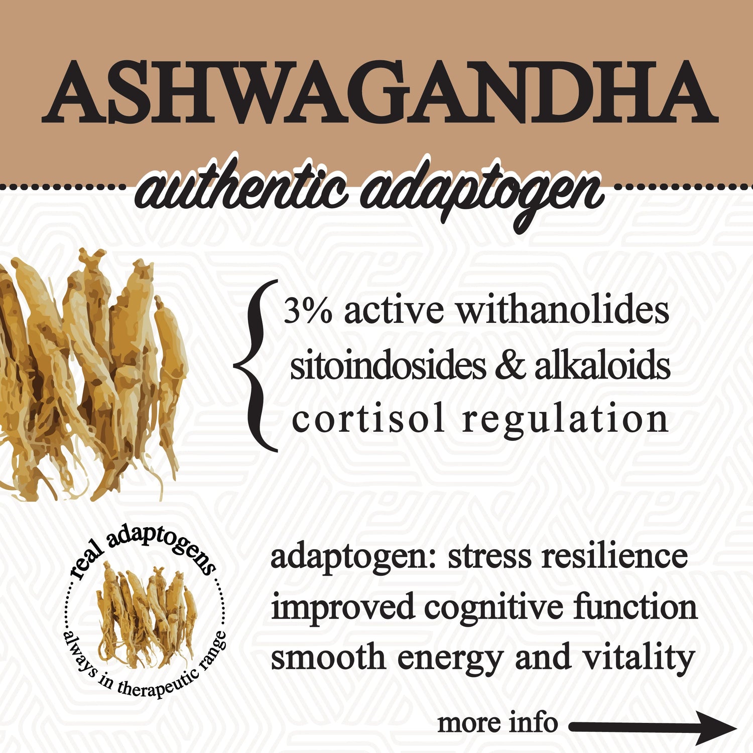 Adaptive Cacao Mushroom Superfood Drink