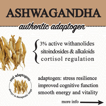 Adaptive Cacao Mushroom Superfood Drink
