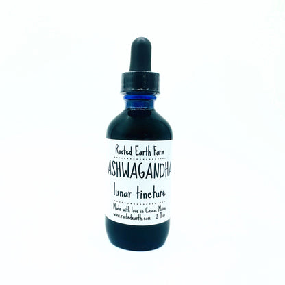 Ashwagandha Tincture - My American Goods