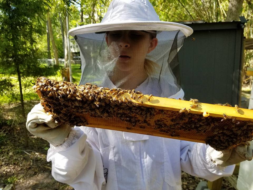 Raw Honey 10oz  Gallberry - My American Goods