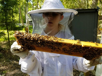 Raw Honey 10oz  Gallberry - My American Goods