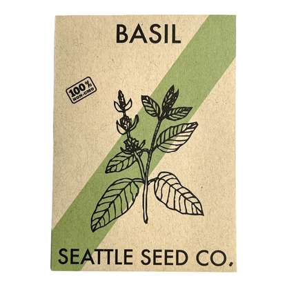 Italian Large Leaf Basil Seeds