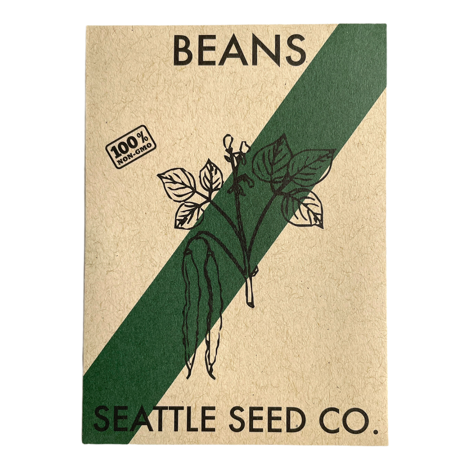 Venice Bush Bean Seeds