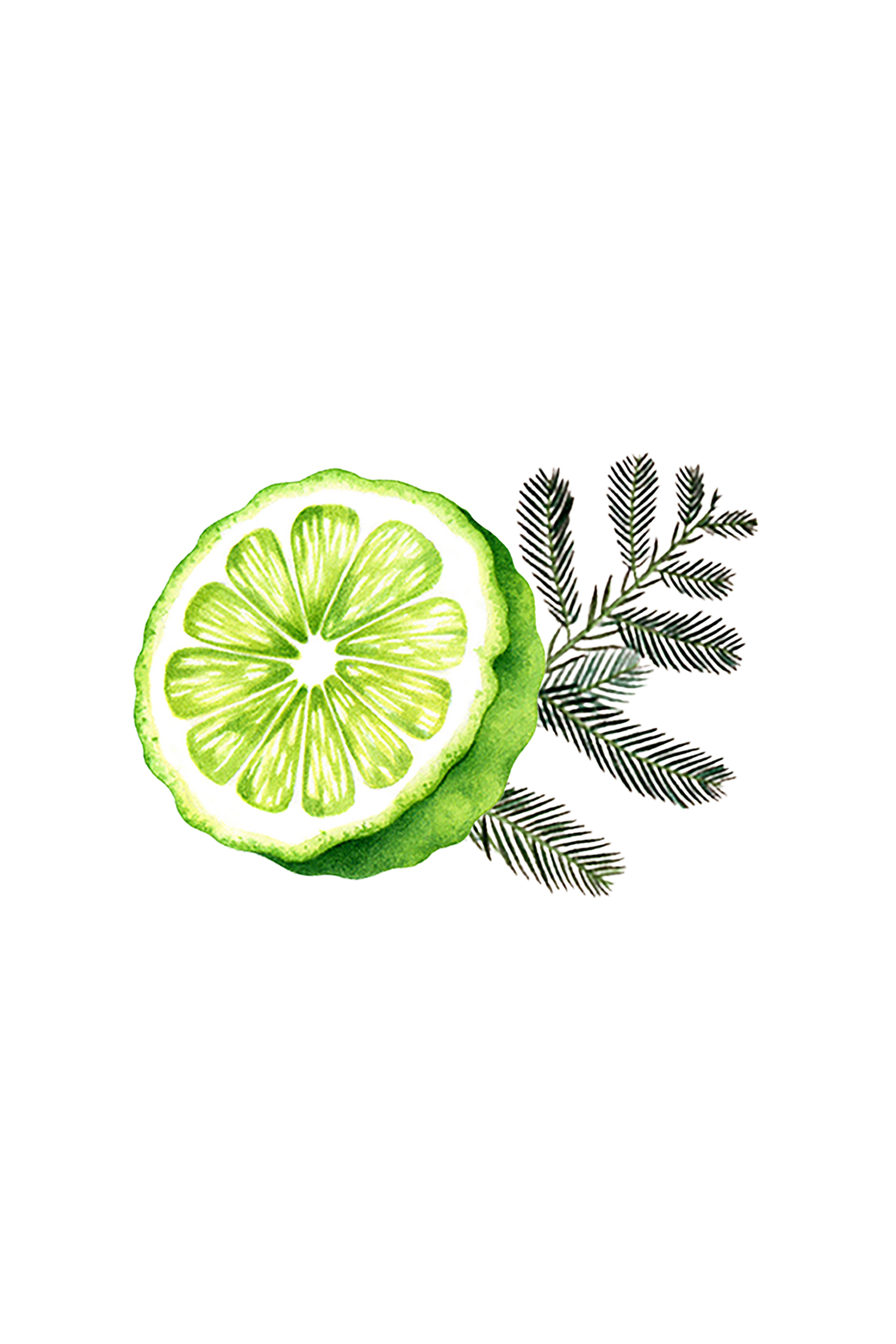 Bergamot &amp; Cypress Essential Oil Blend