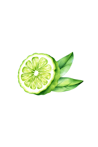 Bergamot Essential Oil