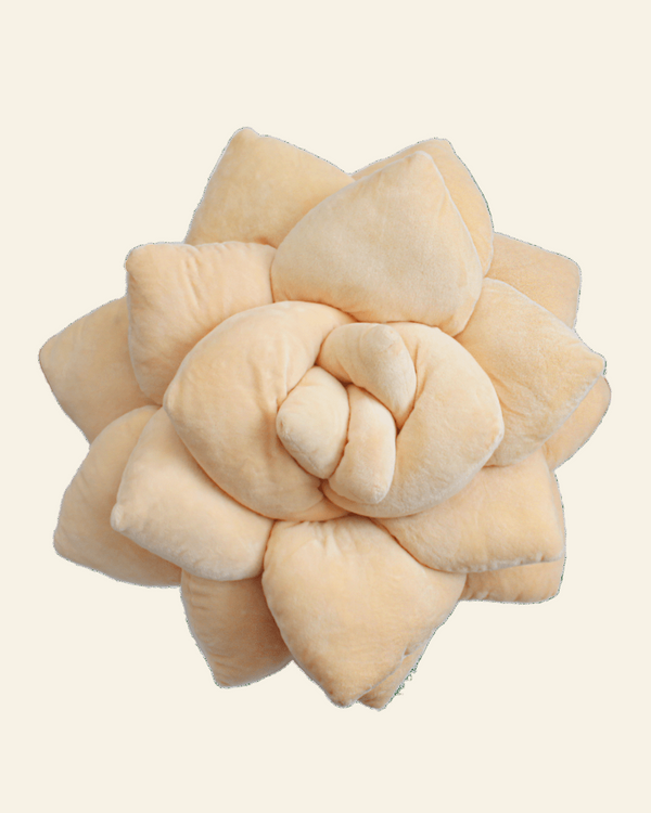 Big Pop Succulent® - Blush Peach