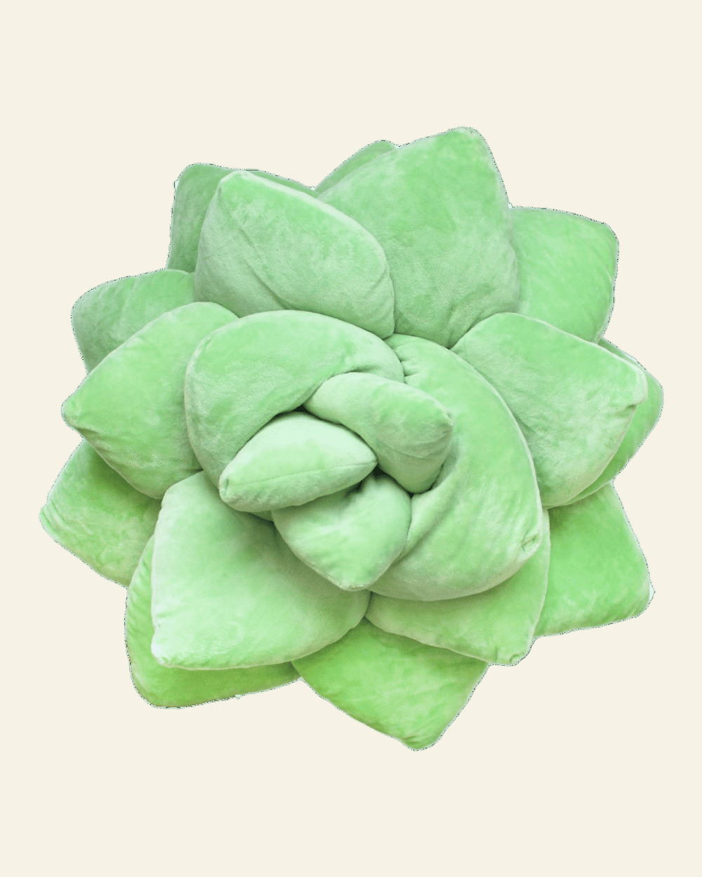 Green succulent-shaped pillow on a transparent background