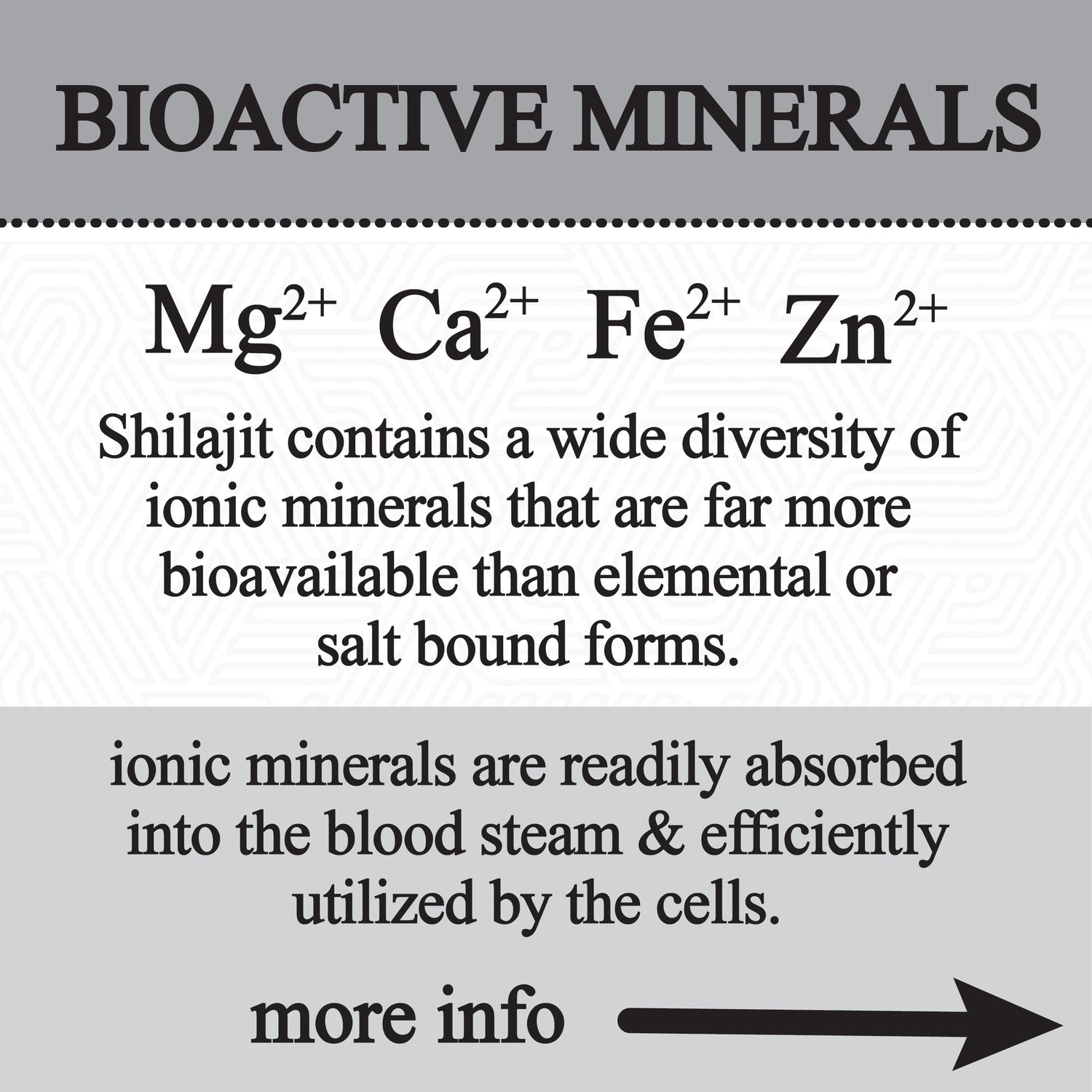 Himalayan Shilajit Glycerite – 60 mL