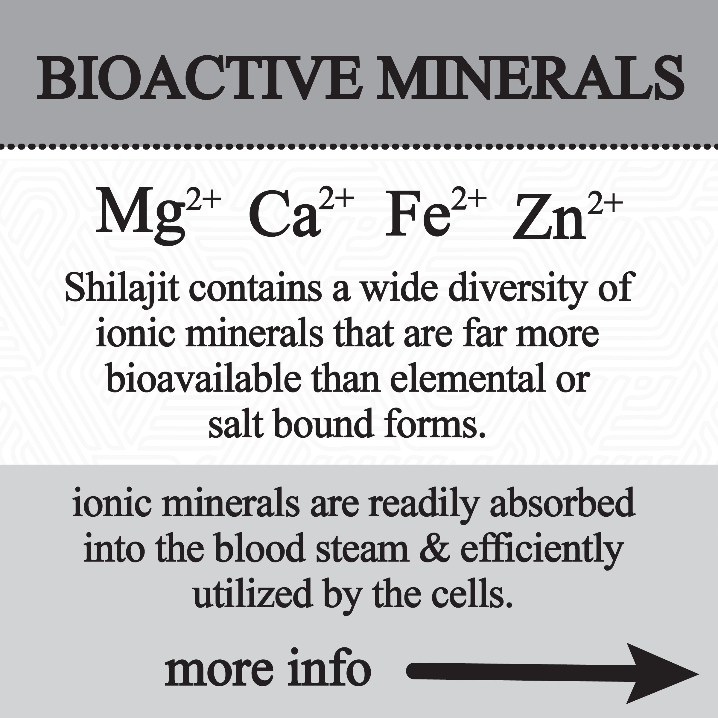 Himalayan Shilajit Glycerite – 60 mL