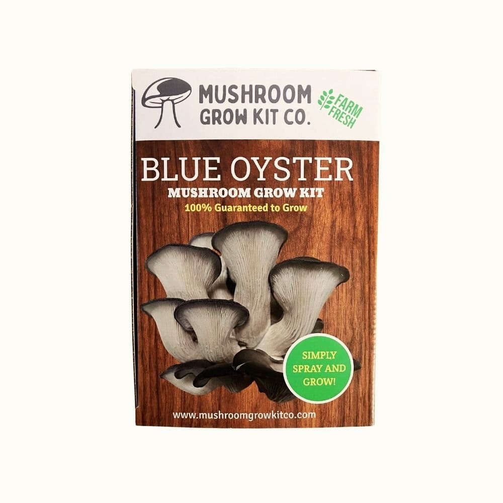 Mushroom Grow Kit Co. Oyster Mushrooms Premium Blue Oyster Mushroom Growing Kit - 5 LBS