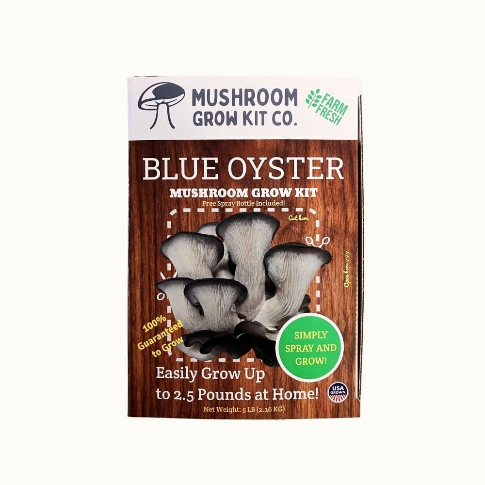 Mushroom Grow Kit Co. Oyster Mushrooms Premium Blue Oyster Mushroom Growing Kit - 5 LBS