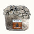 Mushroom Grow Kit Co. Oyster Mushrooms Premium Blue Oyster Mushroom Fruiting Block Grow Kit - 5 LBS