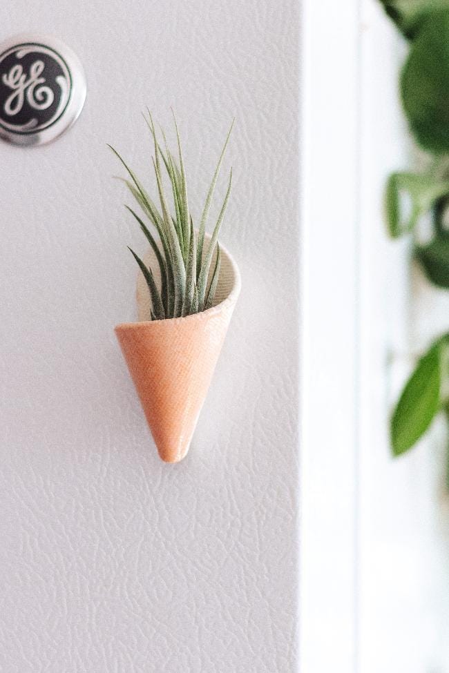 Carter + Rose Blush / With plant Mini Wall Planter Magnet