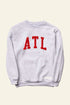 Gray sweatshirt with &