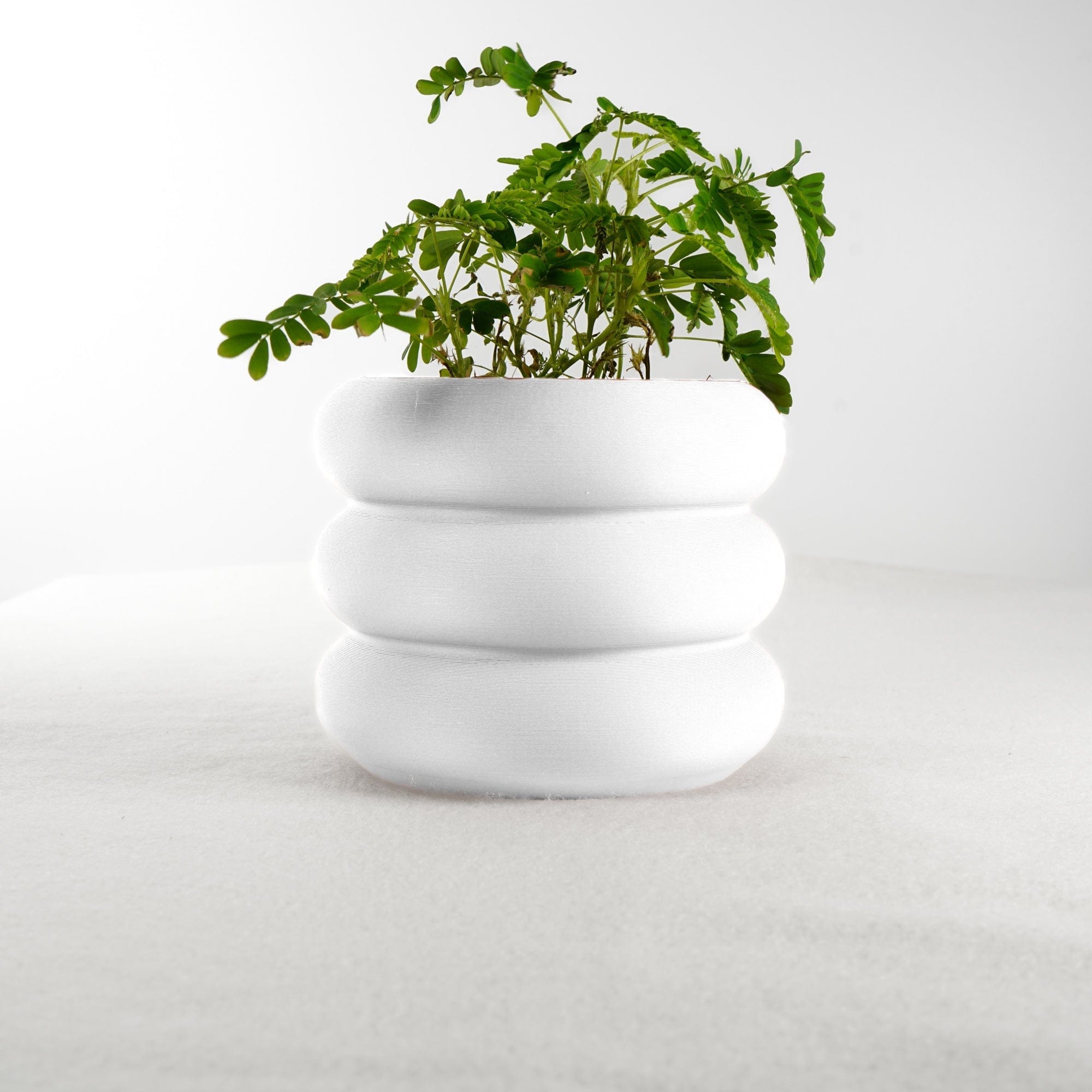 Rosebud HomeGoods Pots &amp; Planters White / Without Drip Tray / 4 Inch Bubble Planter/ Donut Planter with Drainage
