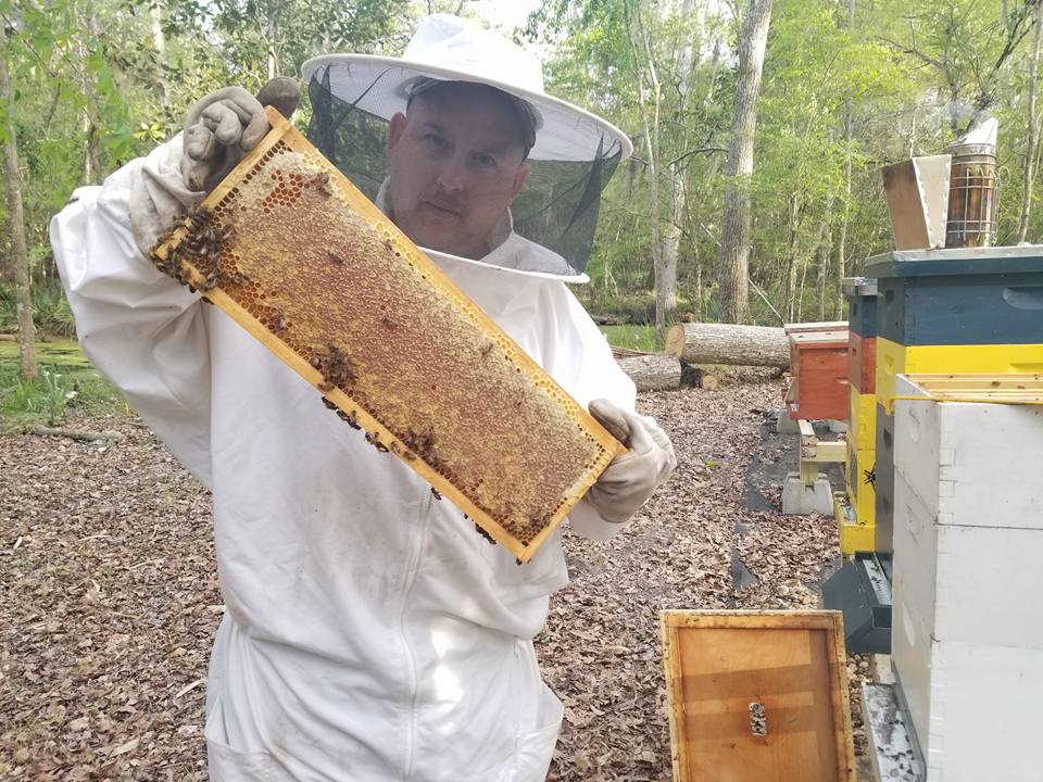 Honey Badgers Bee Farm Flavoried Honey Mandarin Orange Honey