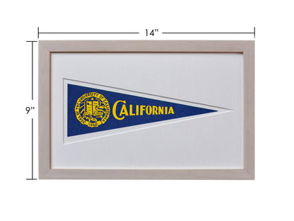 Vintage University of California Hormel Pennant