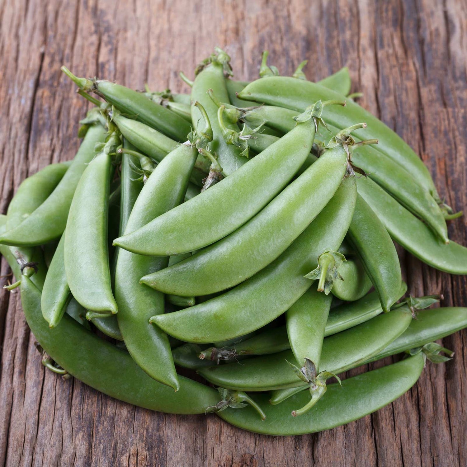 Sugar Snap Pea Seeds