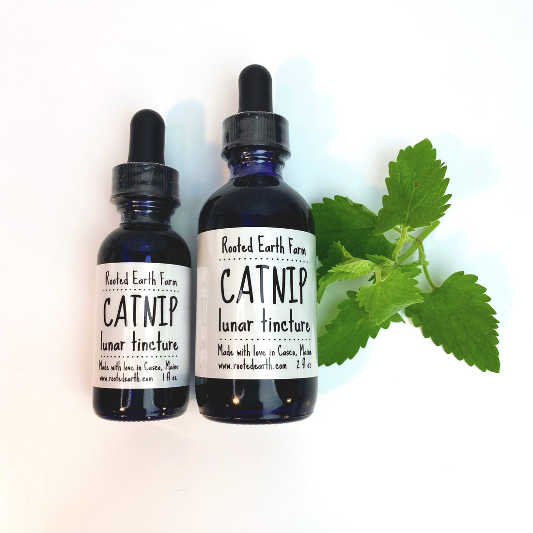 Catnip Tincture - My American Goods