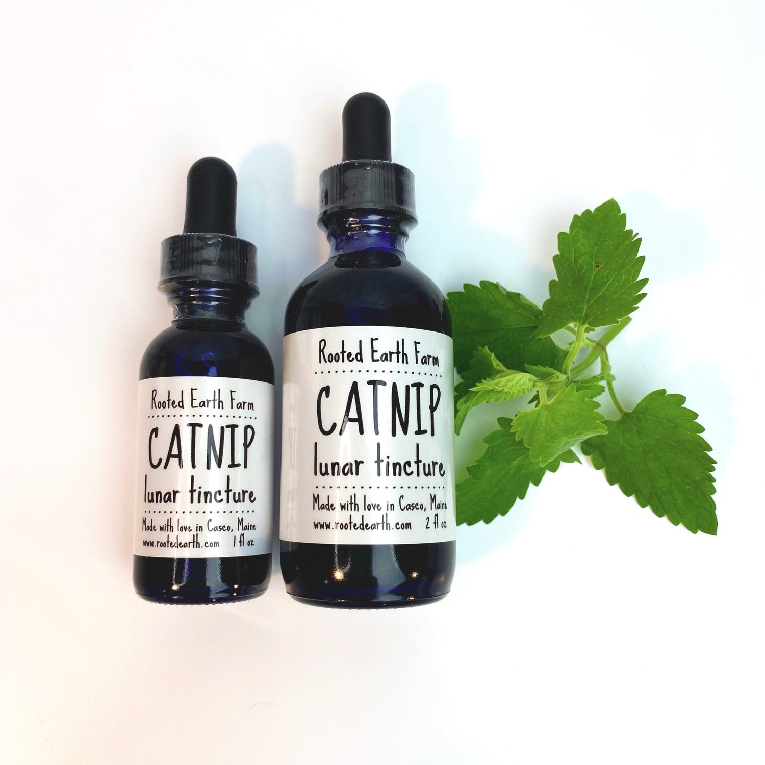 Catnip Tincture - My American Goods