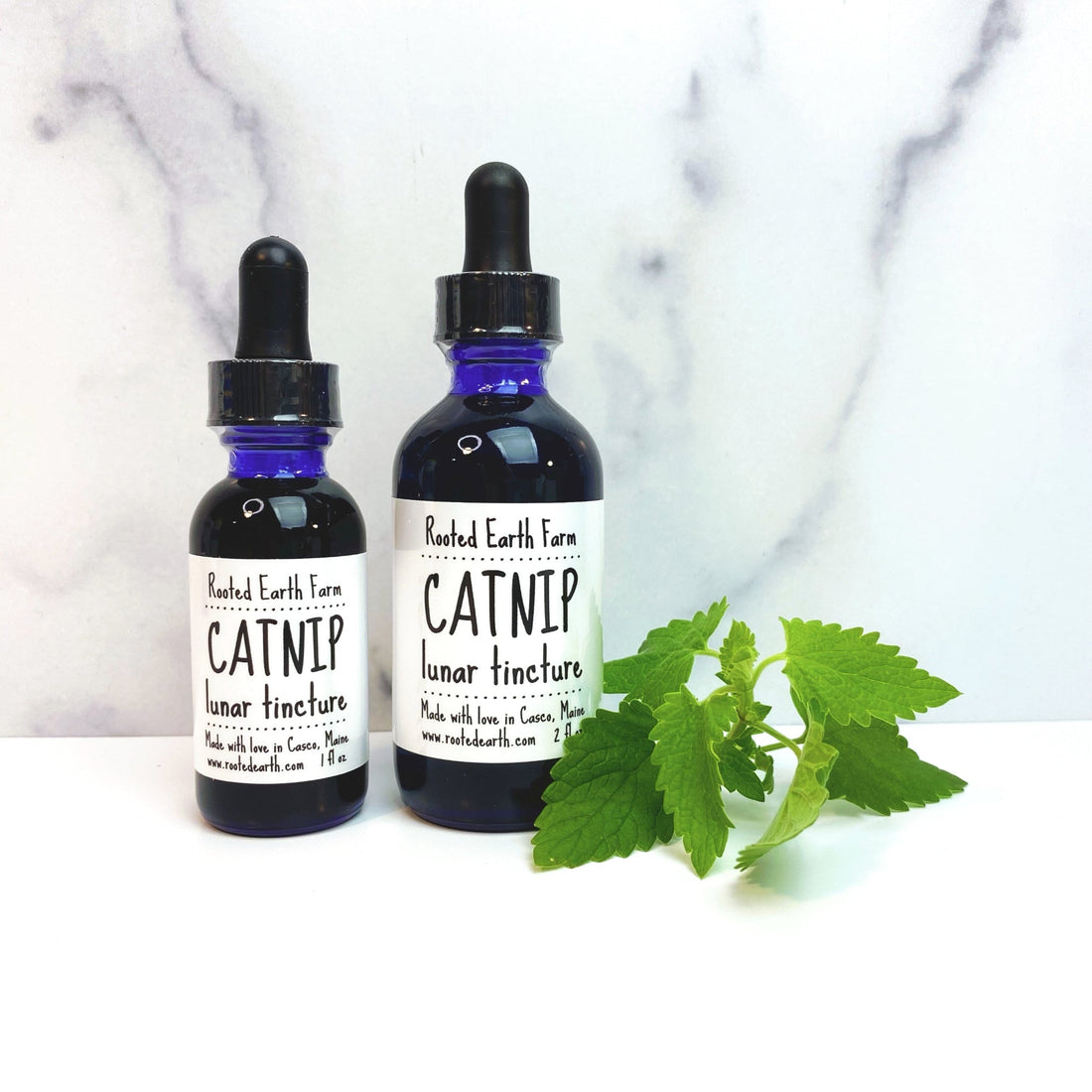 Catnip Tincture - My American Goods