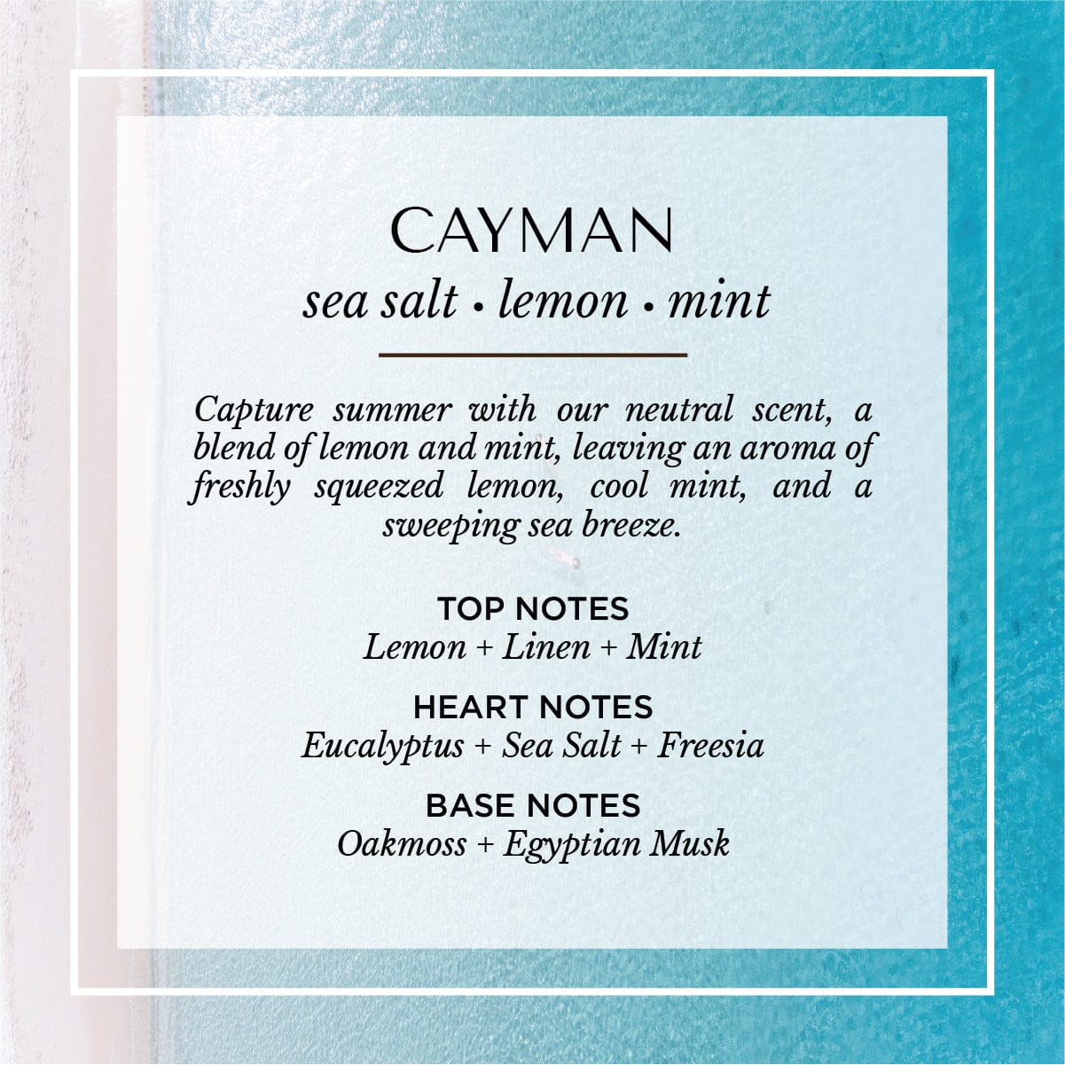 Malibu Apothecary High Gloss Cayman Black Gloss Candle