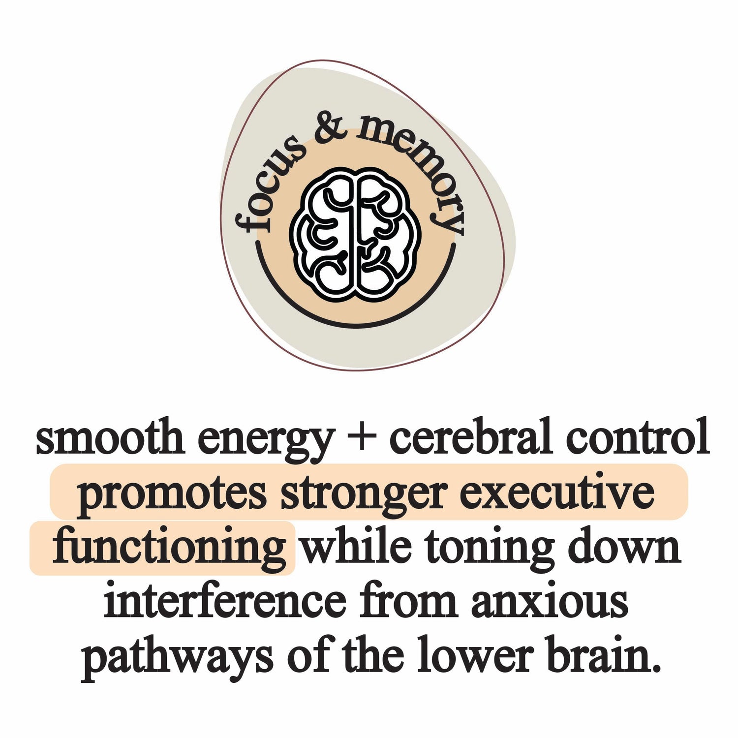 Elemental Organic Mushroom Extract Blend