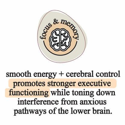 Elemental Organic Mushroom Extract Blend