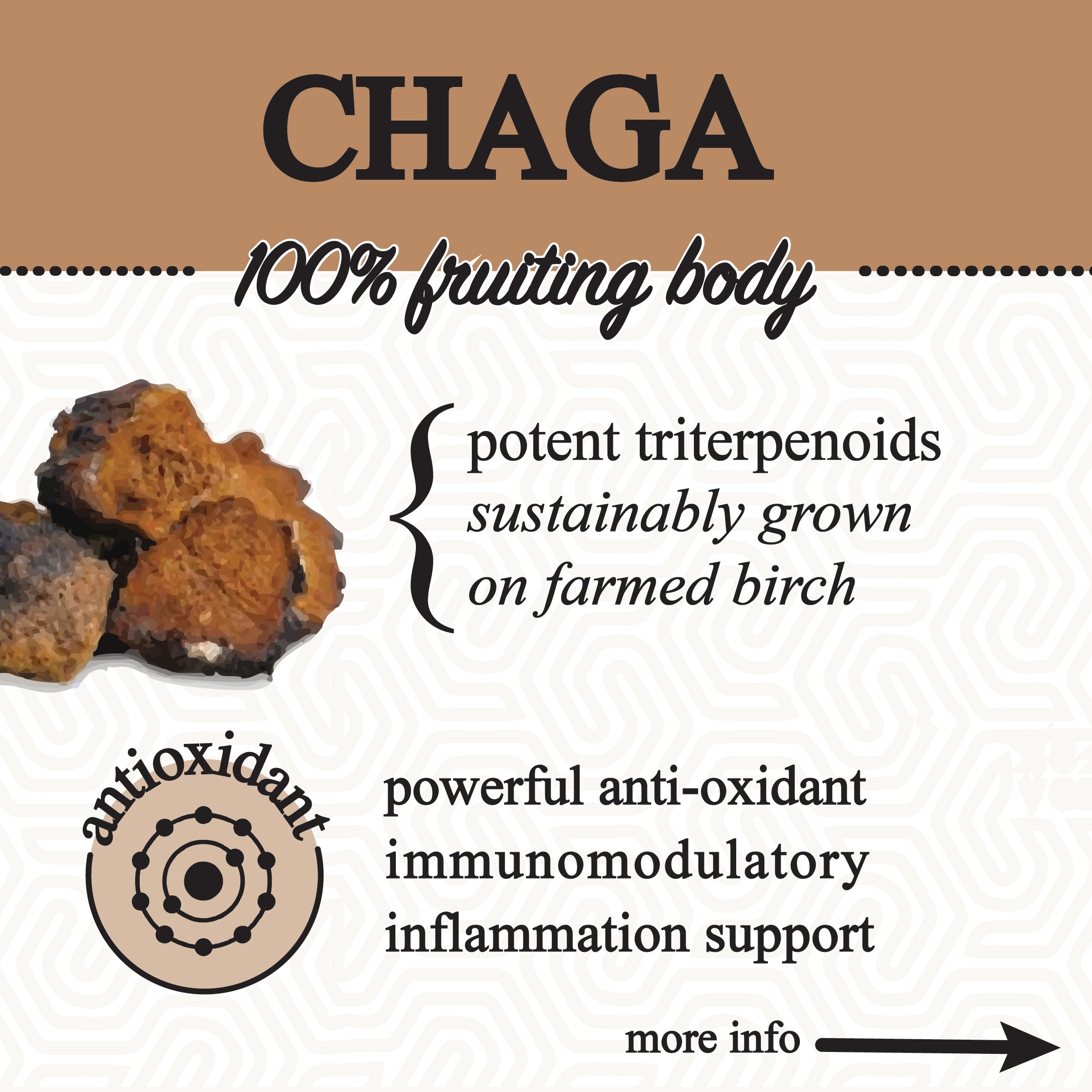 Adaptive Cacao Mushroom Superfood Drink