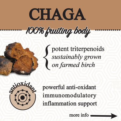 Adaptive Cacao Mushroom Superfood Drink