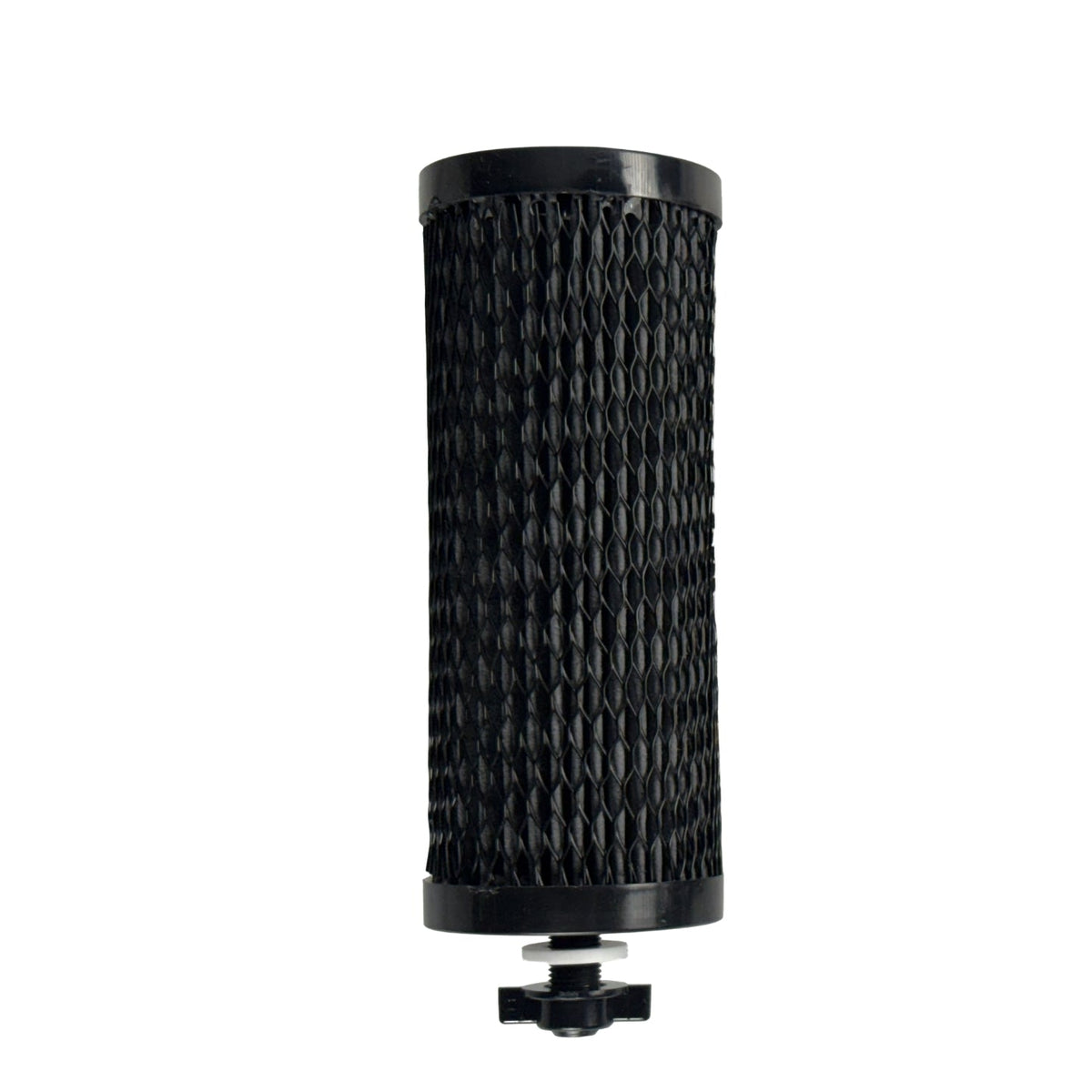 PureFlow Ionic Pleat Filter