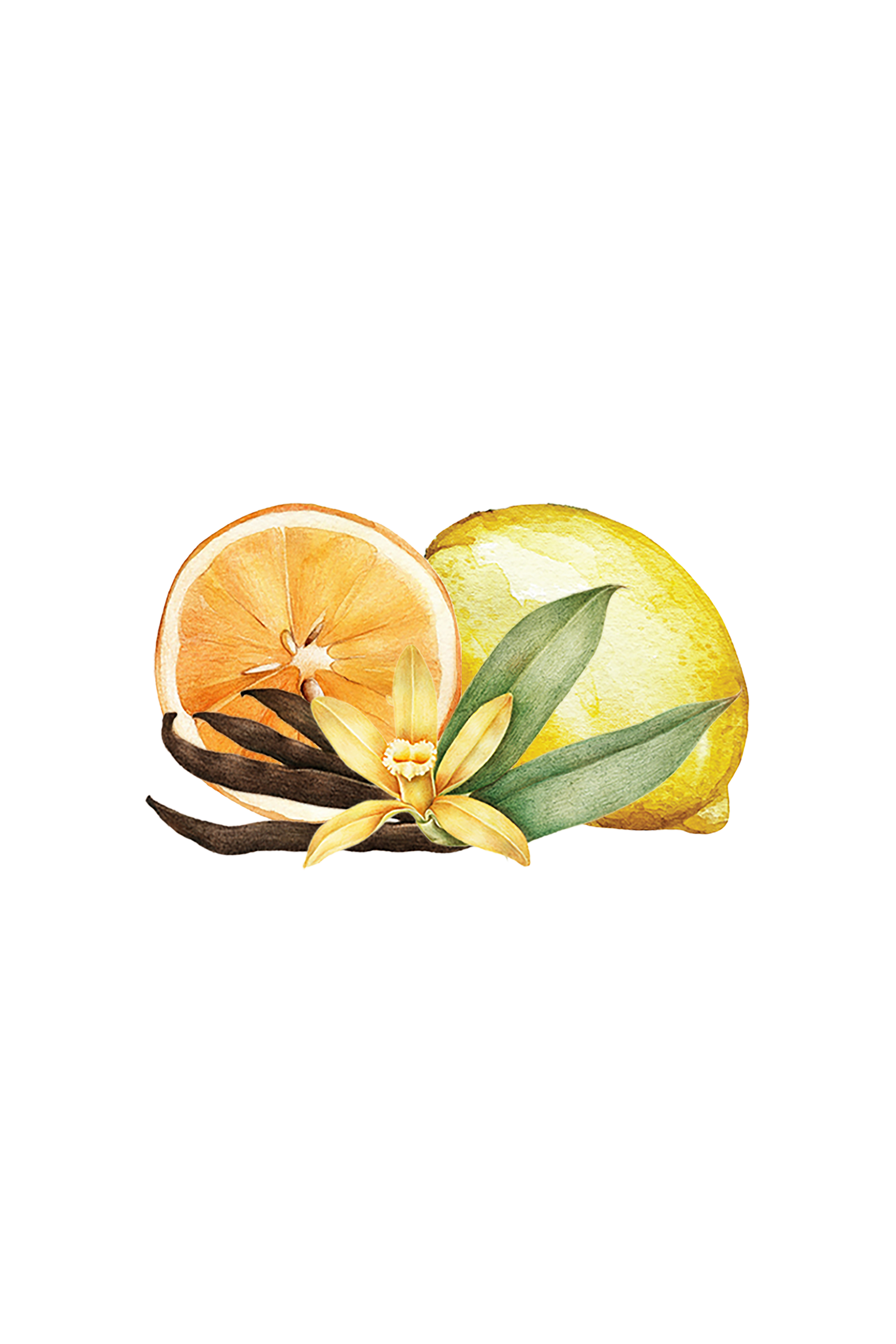 Citrus &amp; Vanilla EO / FO Blend