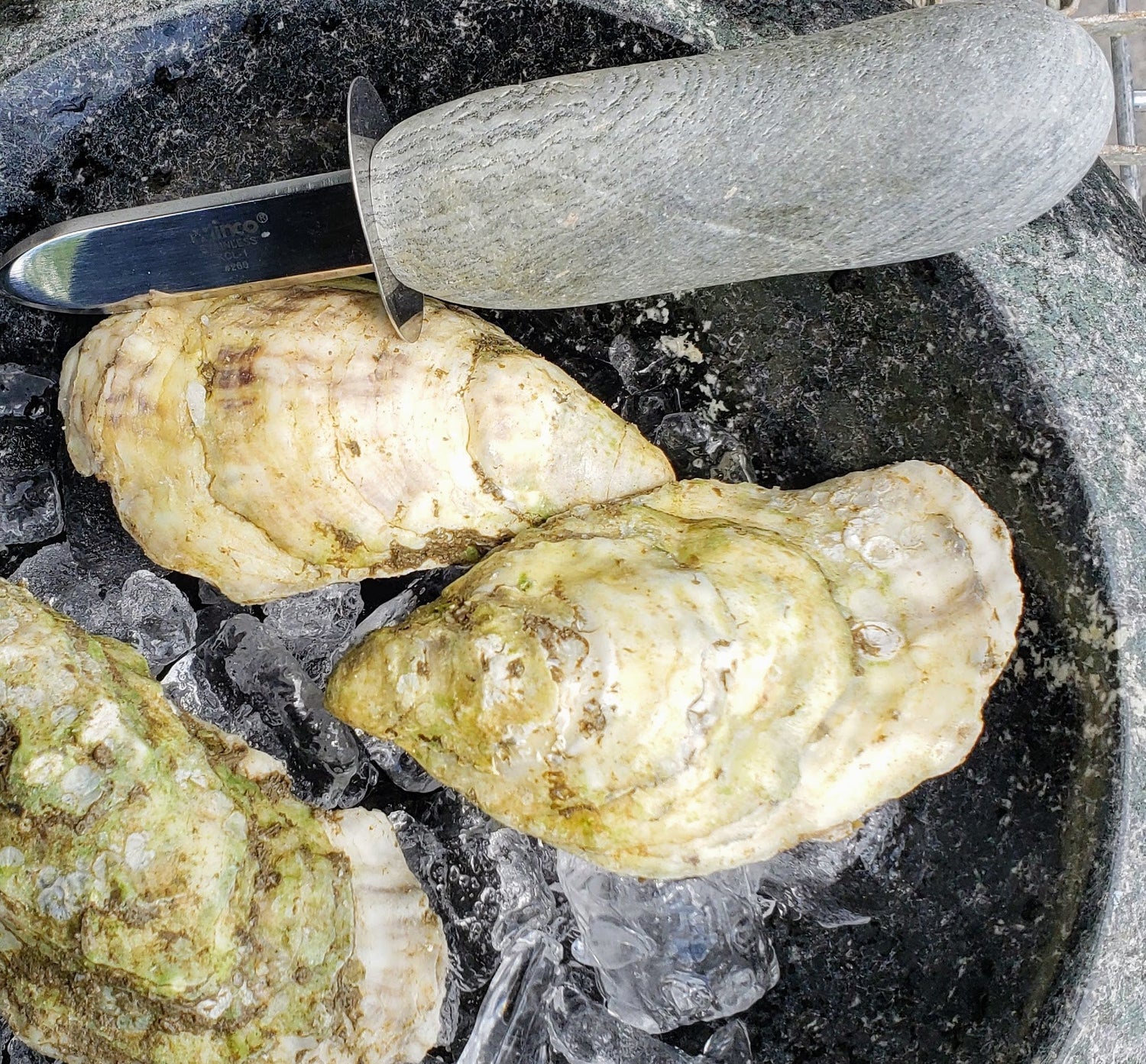 Stone Clam Shucker