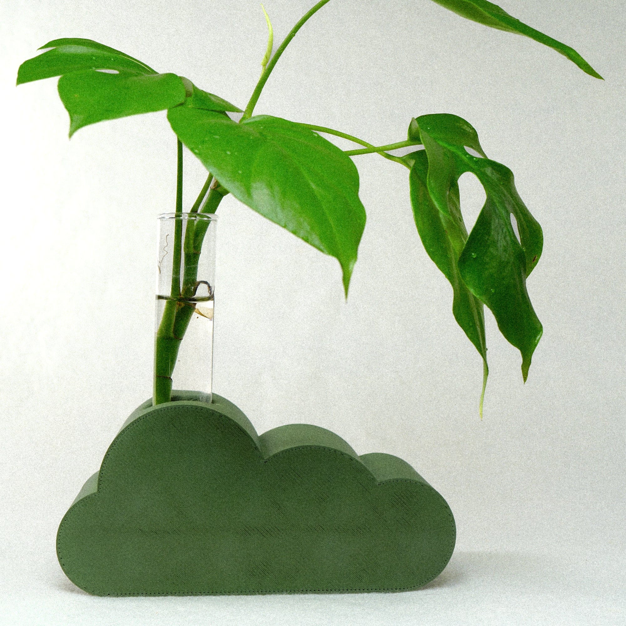 Rosebud HomeGoods Propagation Stand &amp; Tube / Green Cloud Propagation