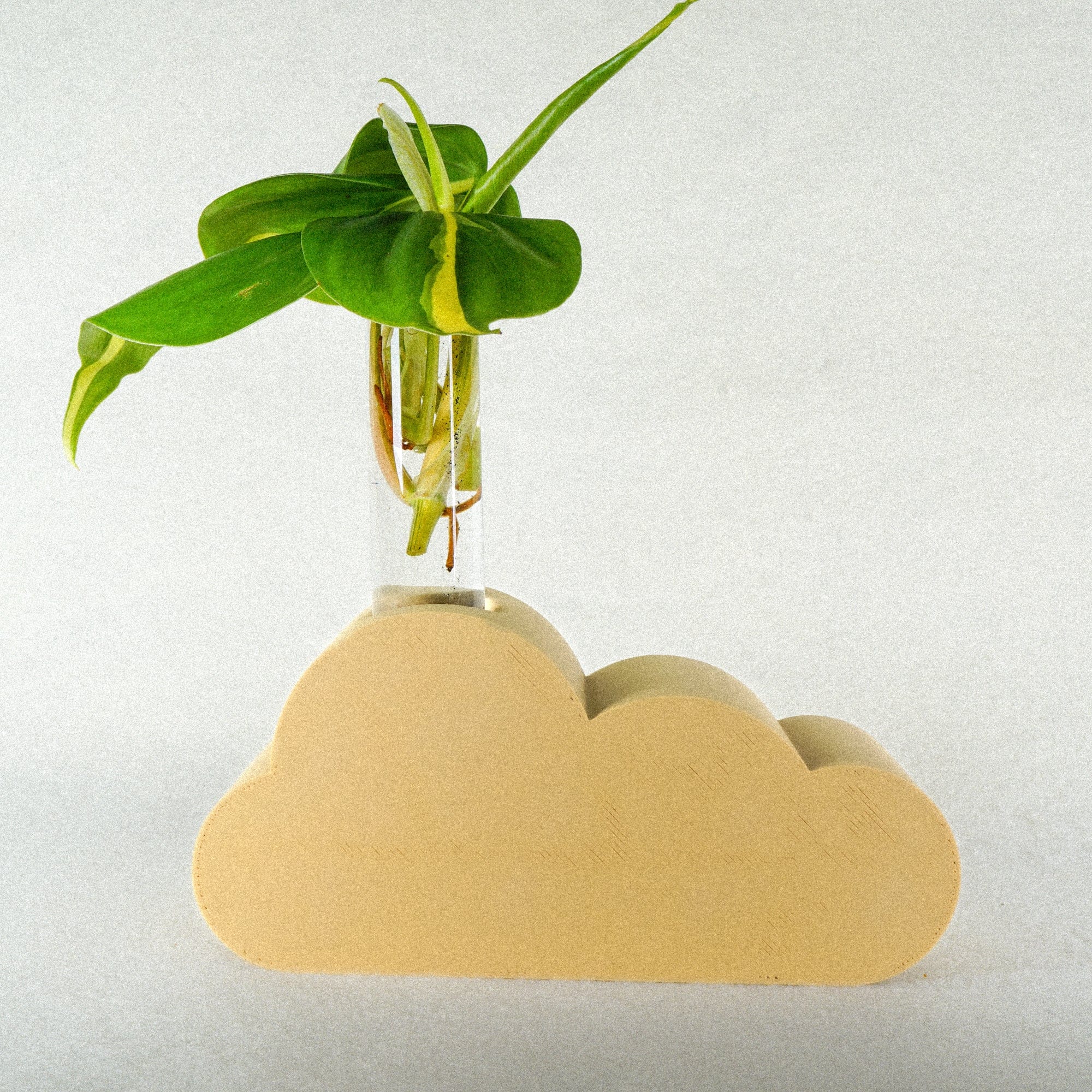 Rosebud HomeGoods Propagation Stand &amp; Tube / Beige Cloud Propagation