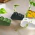 Rosebud HomeGoods Propagation Cloud Propagation