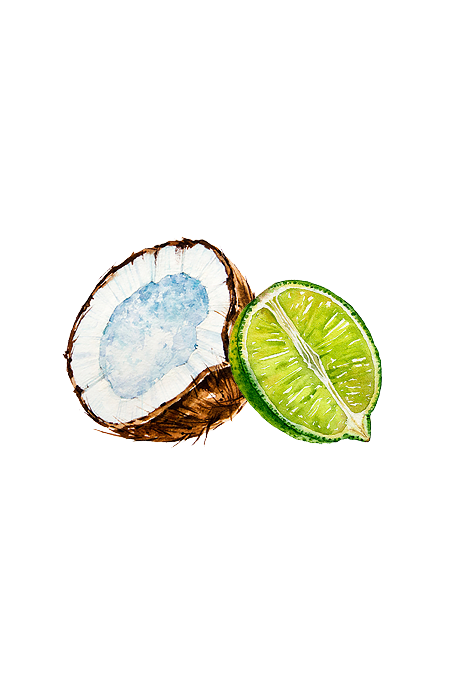 Coconut &amp; Lime EO / FO Blend