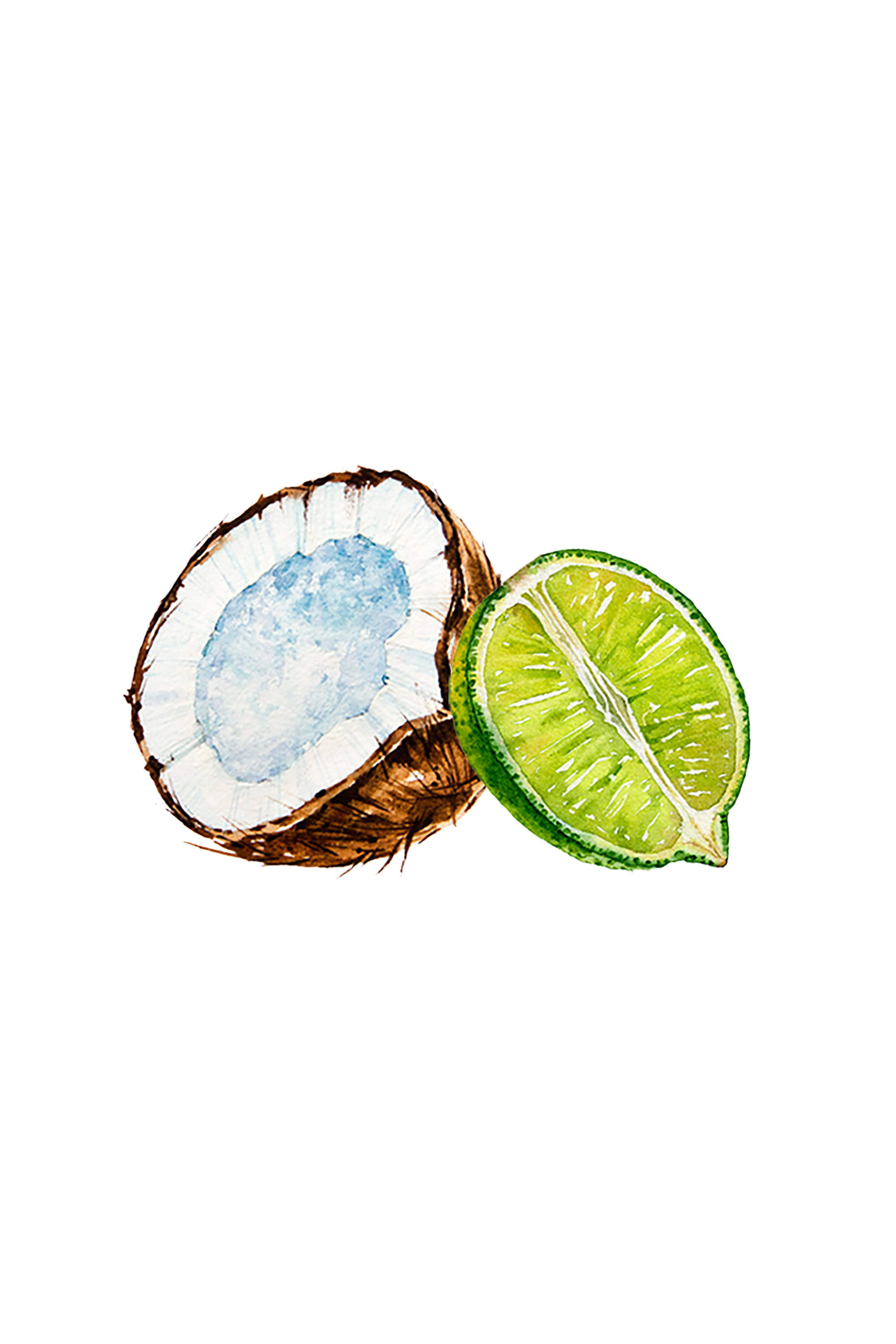 Coconut &amp; Lime EO / FO Blend