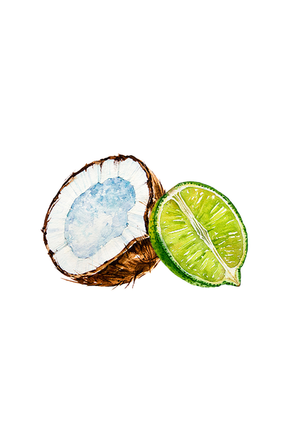 Coconut &amp; Lime EO / FO Blend