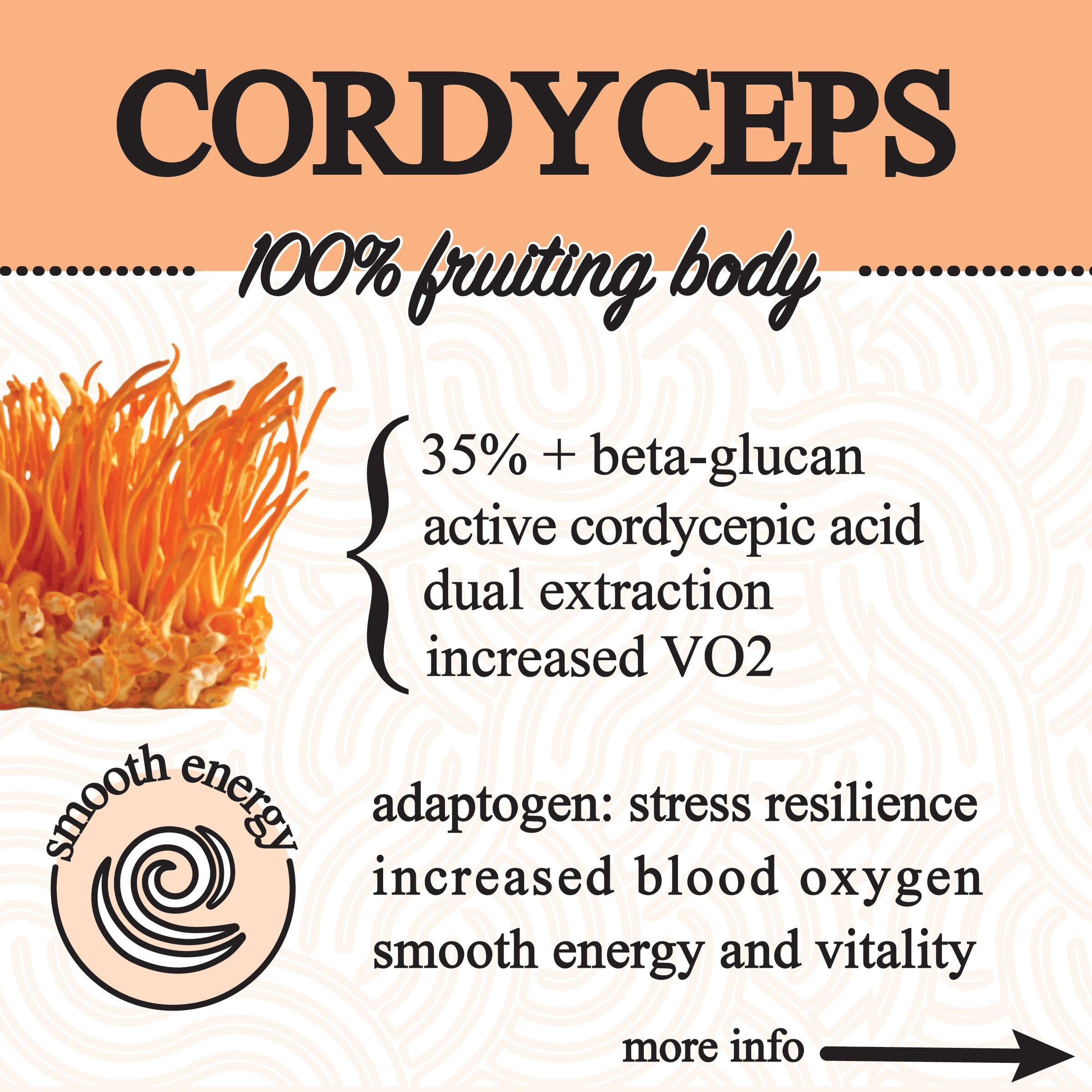 Adaptive Cacao Mushroom Superfood Drink